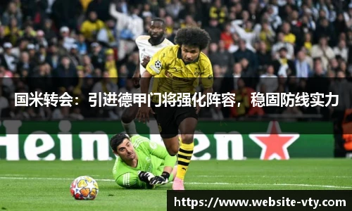 国米转会：引进德甲门将强化阵容，稳固防线实力